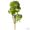 Artificial Succulent Cauliflower Stem Set 13" Tall - RusticReach