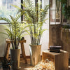 Artificial Faux Cyathea Tree In Pot - RusticReach