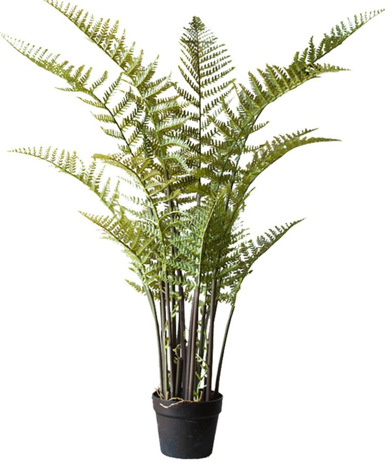 Artificial Faux Cyathea Tree In Pot - RusticReach