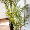 Artificial Faux Cyathea Tree In Pot - RusticReach