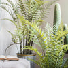Artificial Faux Cyathea Tree In Pot - RusticReach