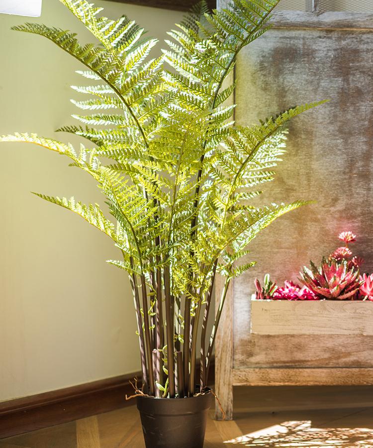 Artificial Faux Cyathea Tree In Pot - RusticReach