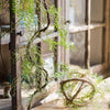 Artificial Vines Maidenhair Fern 55" Long - RusticReach