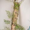 Artificial Vines Maidenhair Fern 55" Long - RusticReach