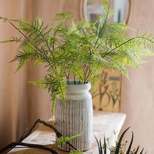 Asparagus Fern Plant Stem 32" Tall RusticReach 