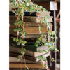 Begonia Leaf Hanging Vine 27" Long - RusticReach