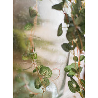 Begonia Leaf Hanging Vine 27" Long RusticReach 