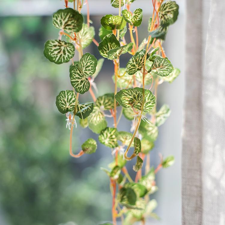 Begonia Leaf Hanging Vine 27 Long