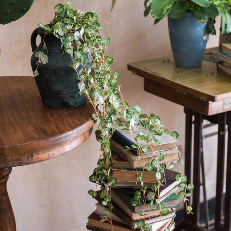 Begonia Leaf Hanging Vine 27" Long - RusticReach