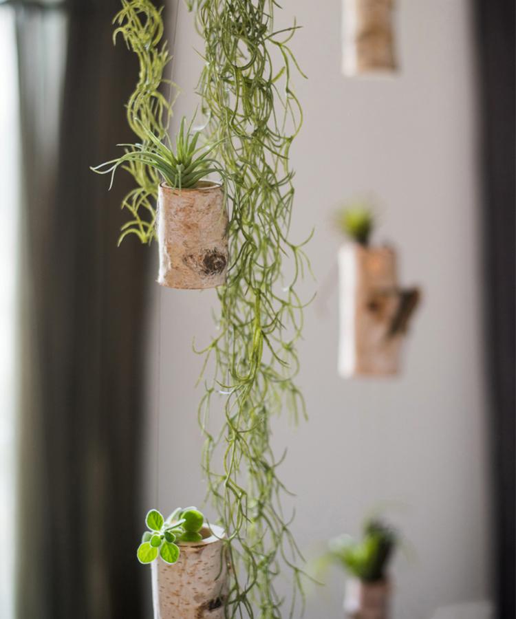 Birch Wood Tiny Planter String Hanging Planter Decoration - RusticReach