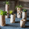 Birch Wood Tiny Planter String Hanging Planter Decoration - RusticReach