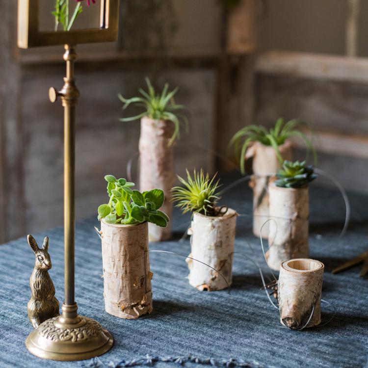 cork hanging planter Birch Wood Tiny Planter String Hanging Planter Decoration – RusticReach