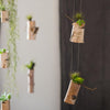 Birch Wood Tiny Planter String Hanging Planter Decoration - RusticReach