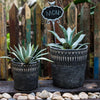 Black Pottery Cement Planter - RusticReach