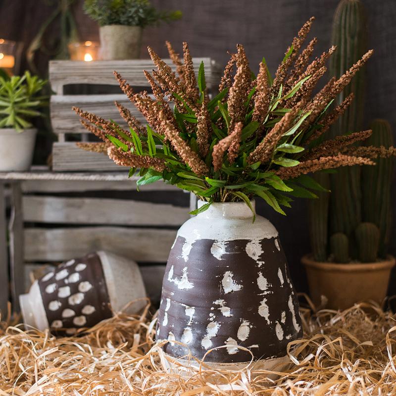 Buddleja Butterfly Bush Bundle 18" Tall - RusticReach