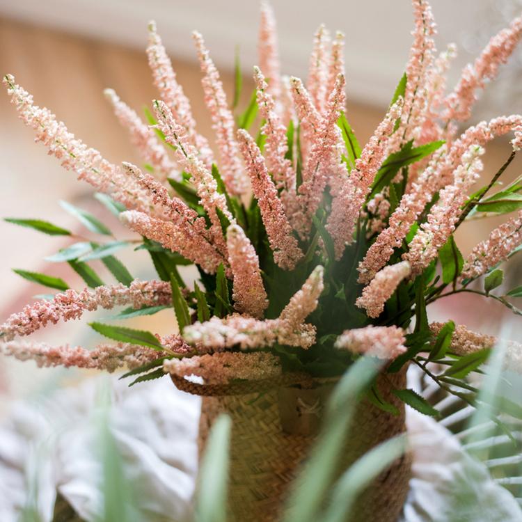 Buddleja Butterfly Bush Bundle 18" Tall - RusticReach