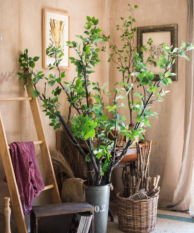 Camellia Green Leaf Stem - RusticReach