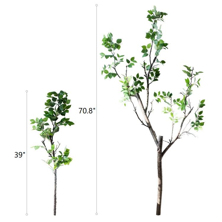 Camellia Green Leaf Stem - RusticReach