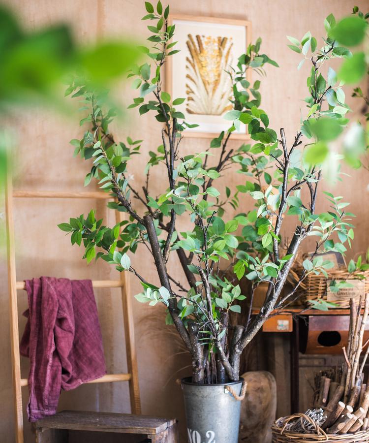 Camellia Green Leaf Stem - RusticReach