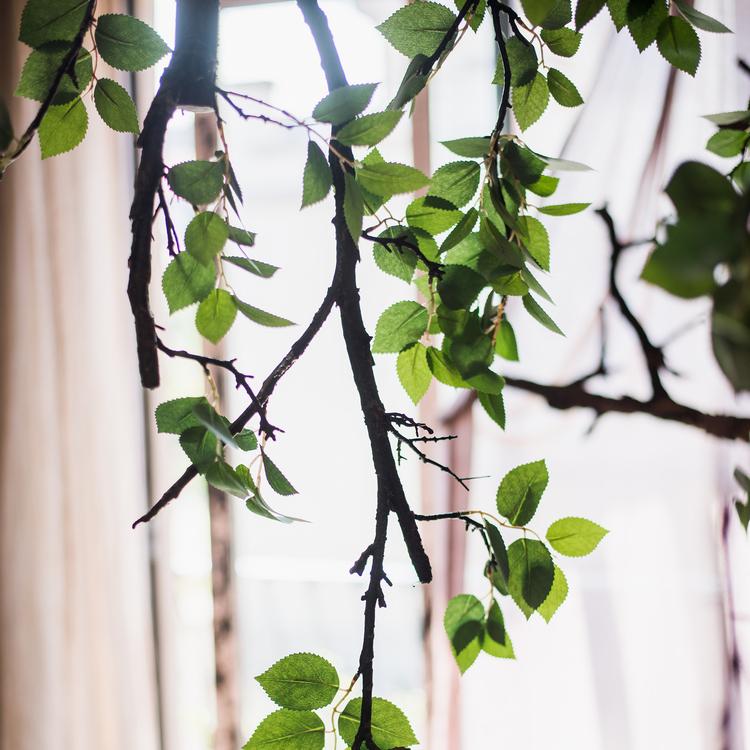 Camellia Green Leaf Stem - RusticReach