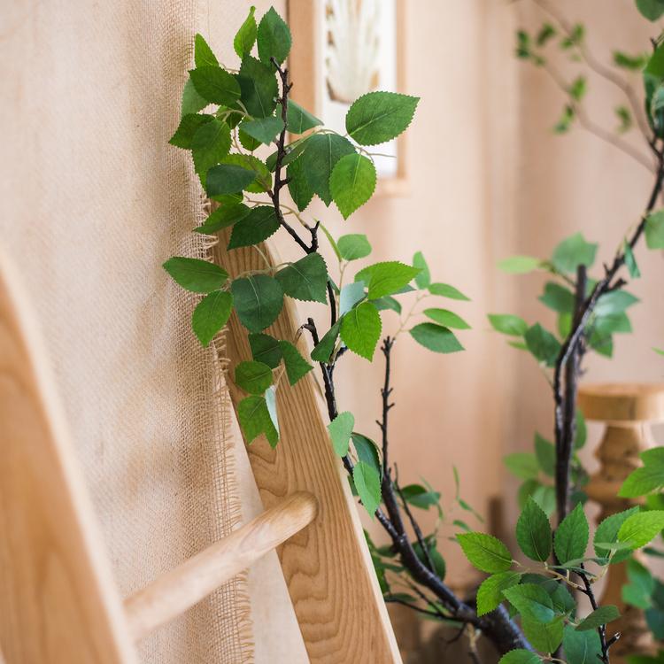 Camellia Green Leaf Stem - RusticReach