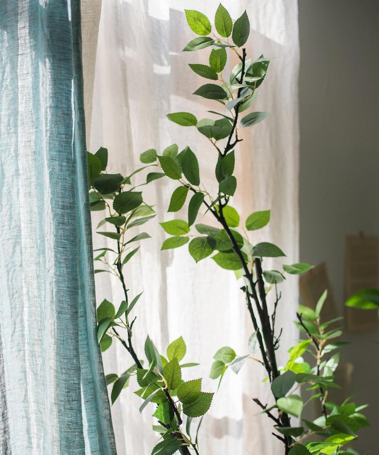 Camellia Green Leaf Stem - RusticReach