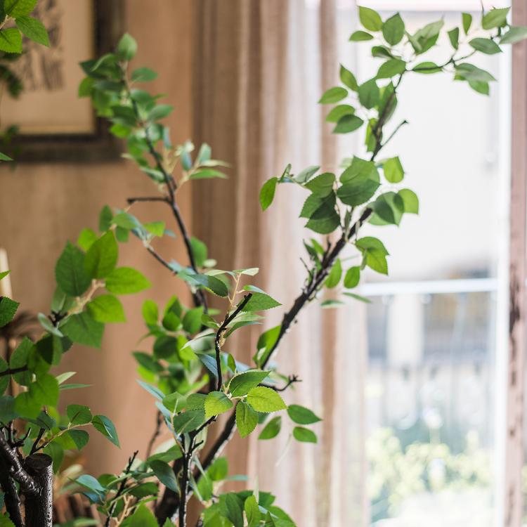 Camellia Green Leaf Stem - RusticReach