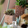 Cement Planter in Various Shape Colors and Sizes - RusticReach