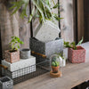 Cement Planter in Various Shape Colors and Sizes - RusticReach