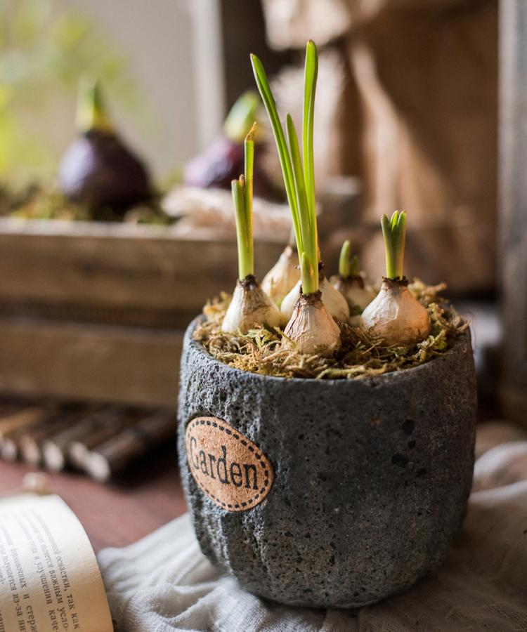 Cement Stone Tiny Garden Planter - RusticReach