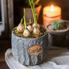 Cement Stone Tiny Garden Planter - RusticReach