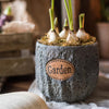 Cement Stone Tiny Garden Planter - RusticReach