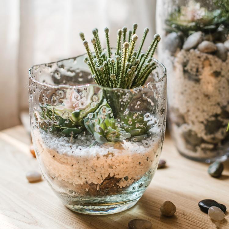 Clear Art Glass Vase - RusticReach