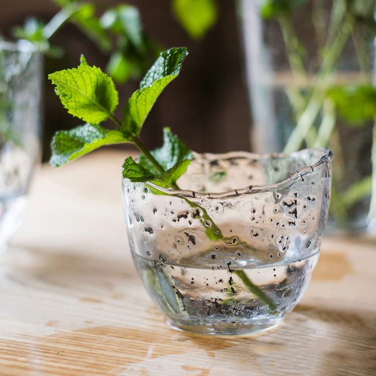 Clear Art Glass Vase - RusticReach