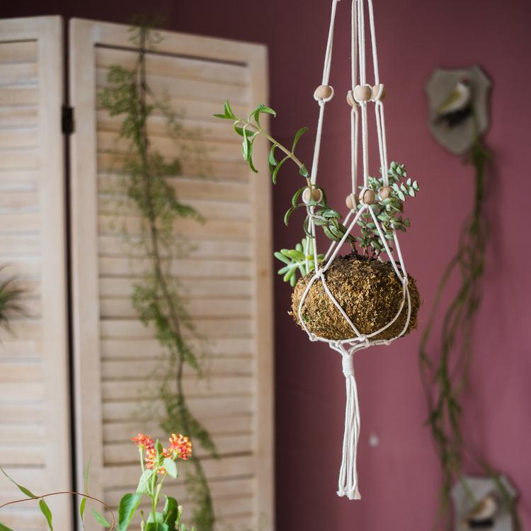 Cotton Hemp Rope Planter Hanger - RusticReach