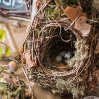 Decorative Natural Bird's Nest RusticReach 