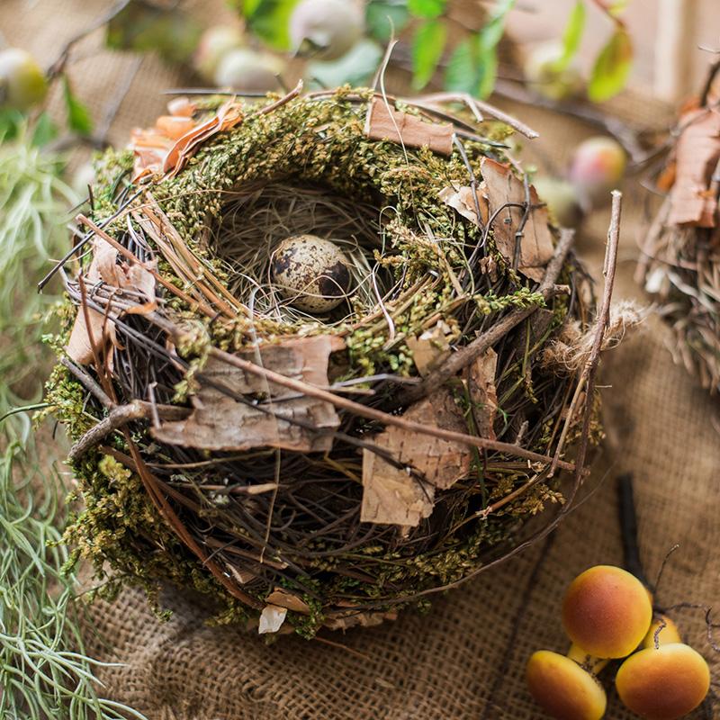 Decorative Natural Bird's Nest RusticReach 