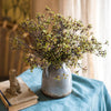 Erysimum Flower Plant Bundle 11" Tall - RusticReach