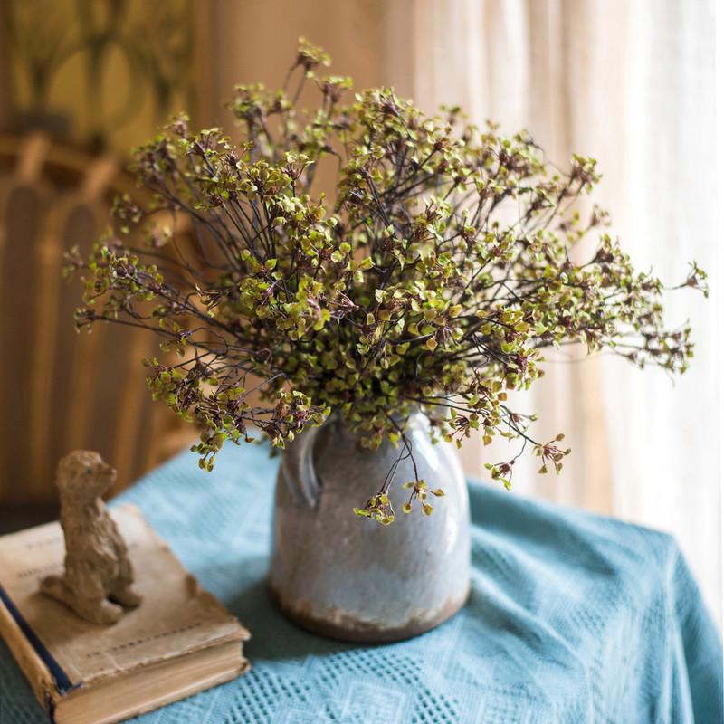 Erysimum Flower Plant Bundle 11" Tall - RusticReach
