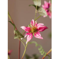 German Clematis Flower Stem in Rose Pink 40" Tall RusticReach 