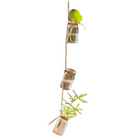 Glass Planter Rope Hanging Small Planter 55" Long (Set of 3) RusticReach 