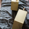 Gold Metal Planter Hexagon Hanging Planter - RusticReach