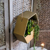 Gold Metal Planter Hexagon Hanging Planter - RusticReach