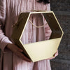 Gold Metal Planter Hexagon Hanging Planter - RusticReach