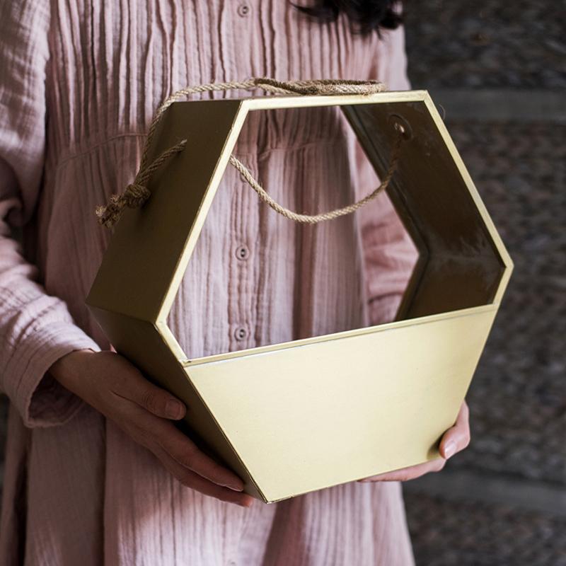 Gold Metal Planter Hexagon Hanging Planter - RusticReach