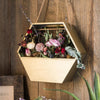 Gold Metal Planter Hexagon Hanging Planter - RusticReach
