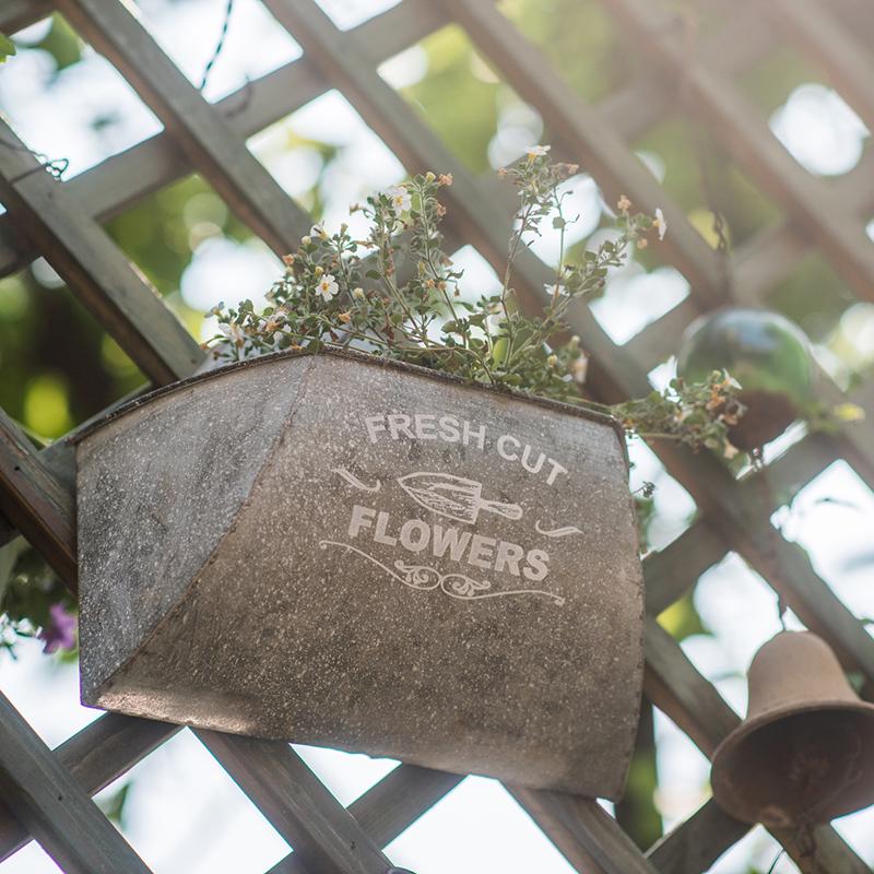 Iron Flower Wall Planter - RusticReach