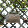 Iron Flower Wall Planter - RusticReach