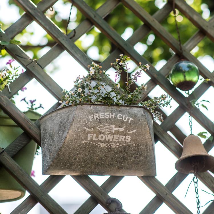 Iron Flower Wall Planter - RusticReach