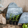 Iron Flower Wall Planter - RusticReach